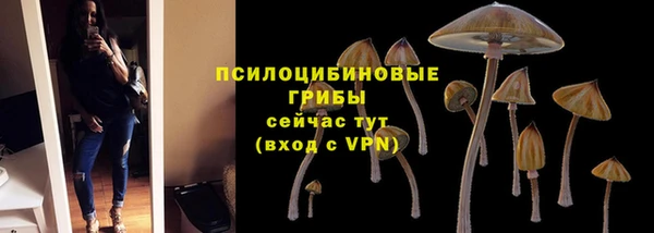 ПСИЛОЦИБИНОВЫЕ ГРИБЫ Верхнеуральск